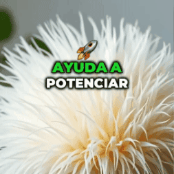 NuBoost Mente Despierta